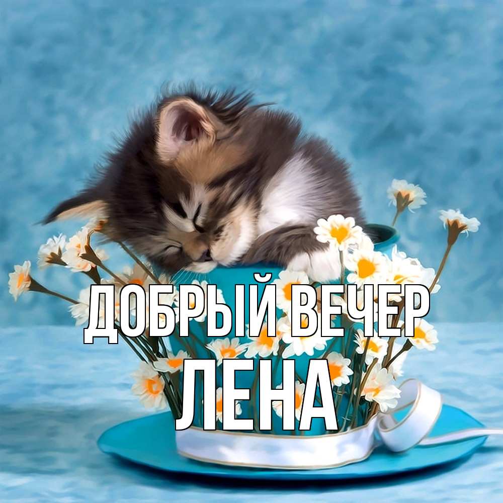 Открытка  с именем. Лена, Добрый вечер  