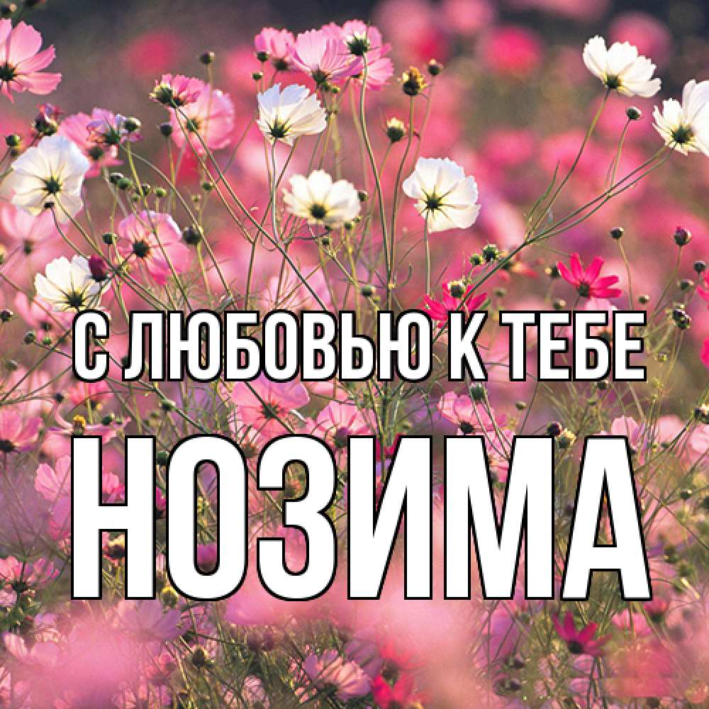 Открытка  с именем. НОЗИМА, С любовью к тебе  