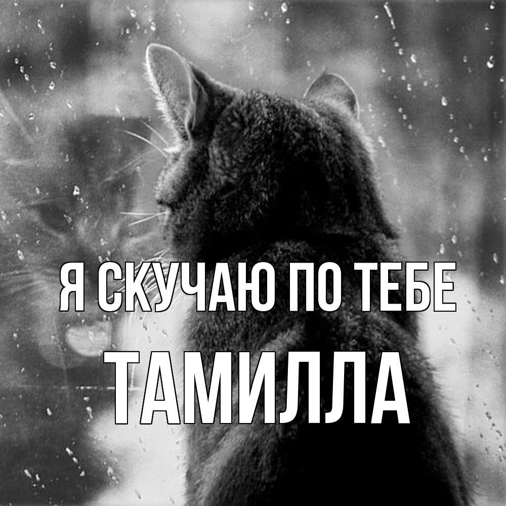 Открытка  с именем. Тамилла, Я скучаю по тебе  