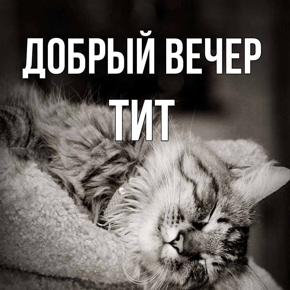 Открытка  с именем. Тит, Добрый вечер  