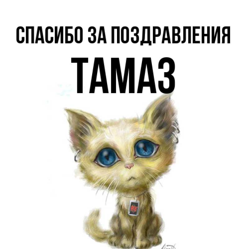 Картинка Спасибо за поздравления, Тамаз
