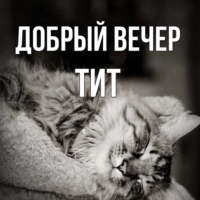Картинка Добрый вечер, Тит