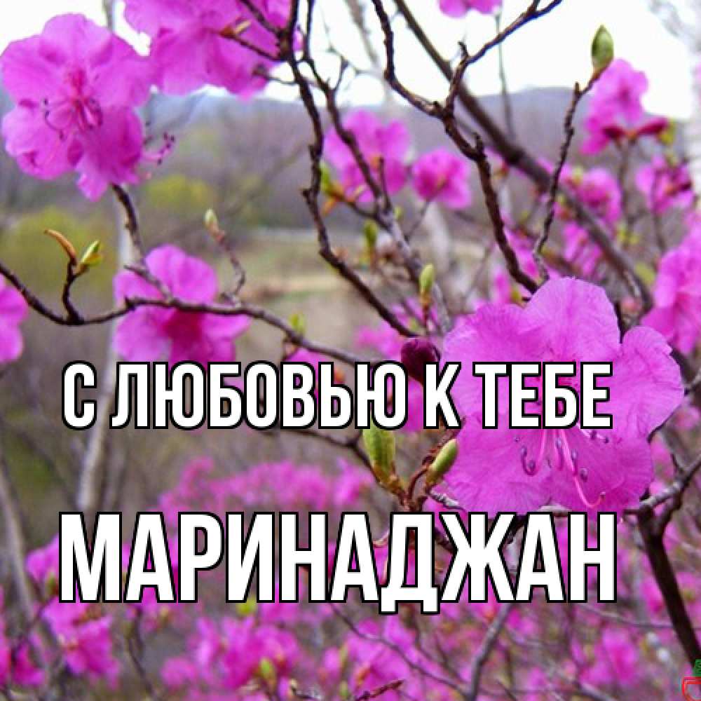 Открытка  с именем. Маринаджан, С любовью к тебе  