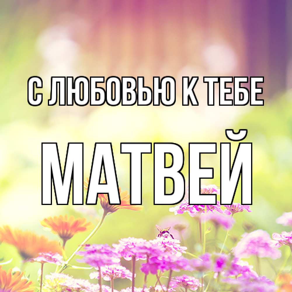 Открытка  с именем. Матвей, С любовью к тебе  