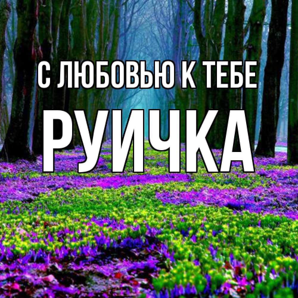 Открытка  с именем. Руичка, С любовью к тебе  