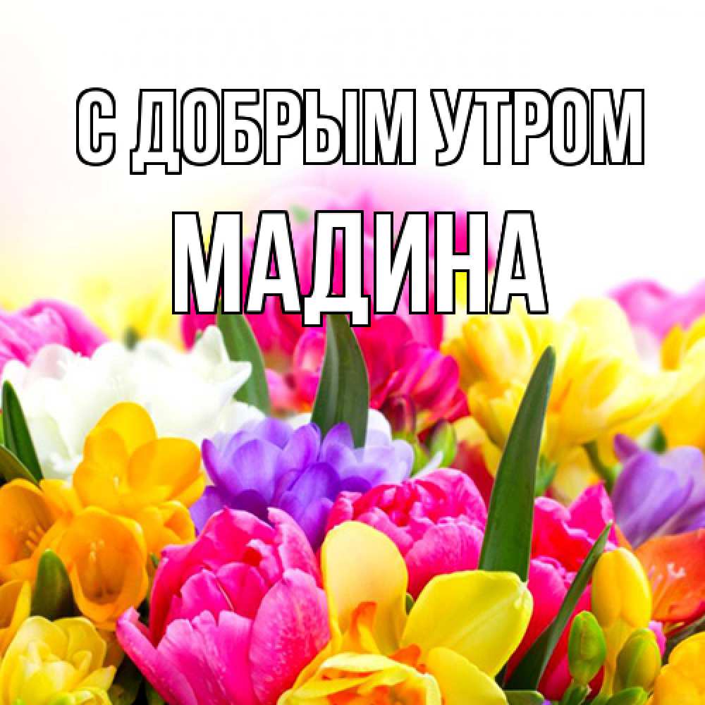 Открытка  с именем. мадина, С добрым утром  