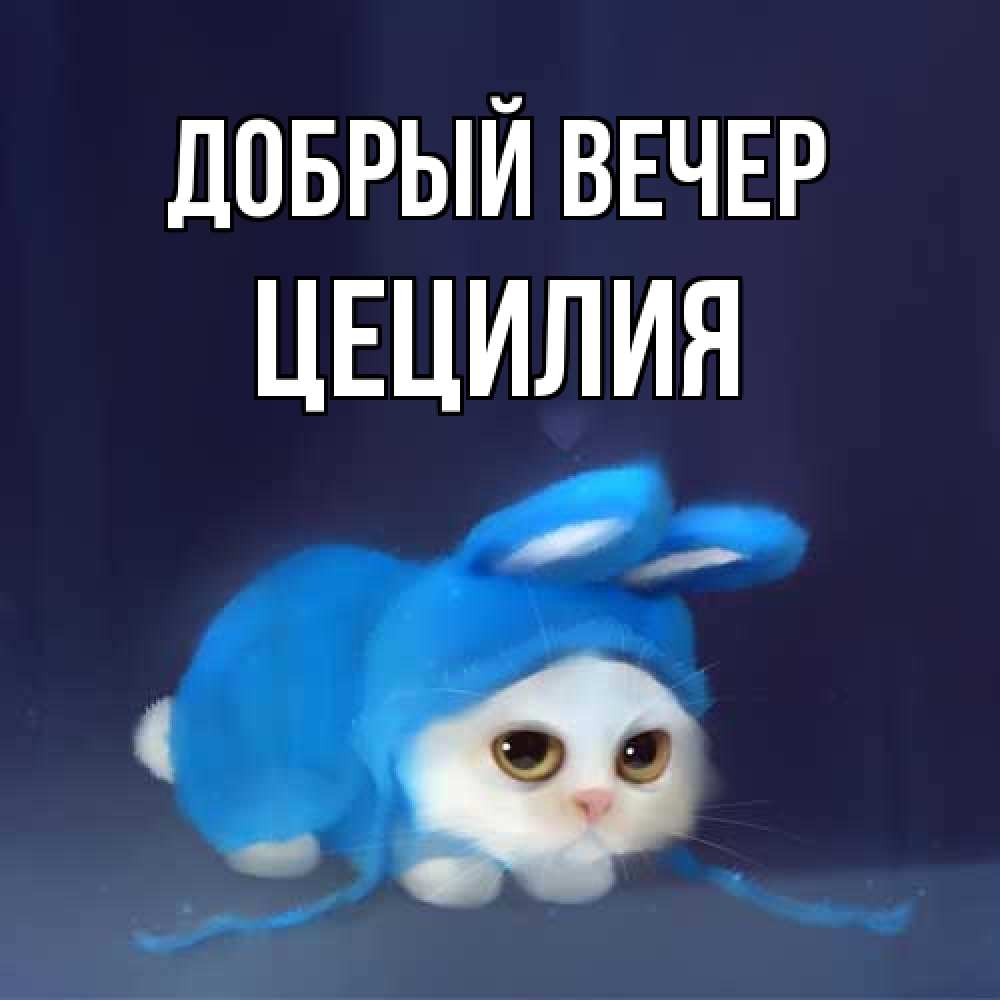 Открытка  с именем. Цецилия, Добрый вечер  