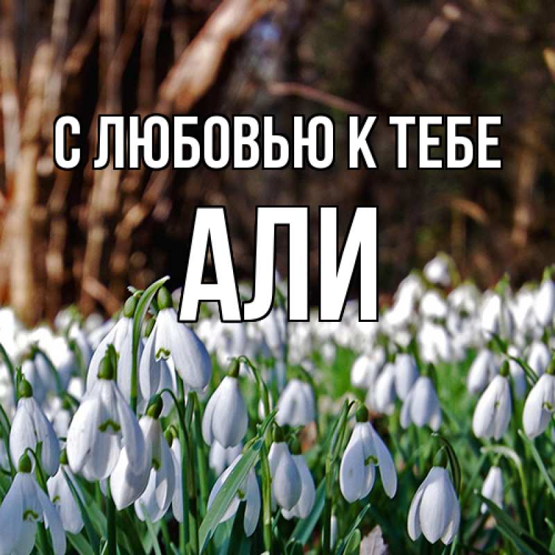 Картинка С любовью к тебе, Али