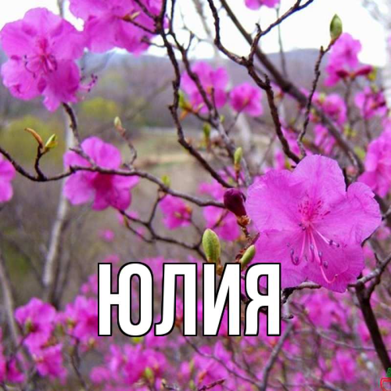 Картинка  с именем , Юлия