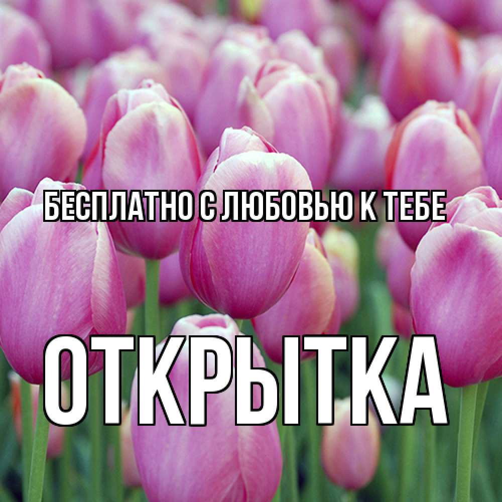 Открытка  с именем. открытка, С любовью к тебе  