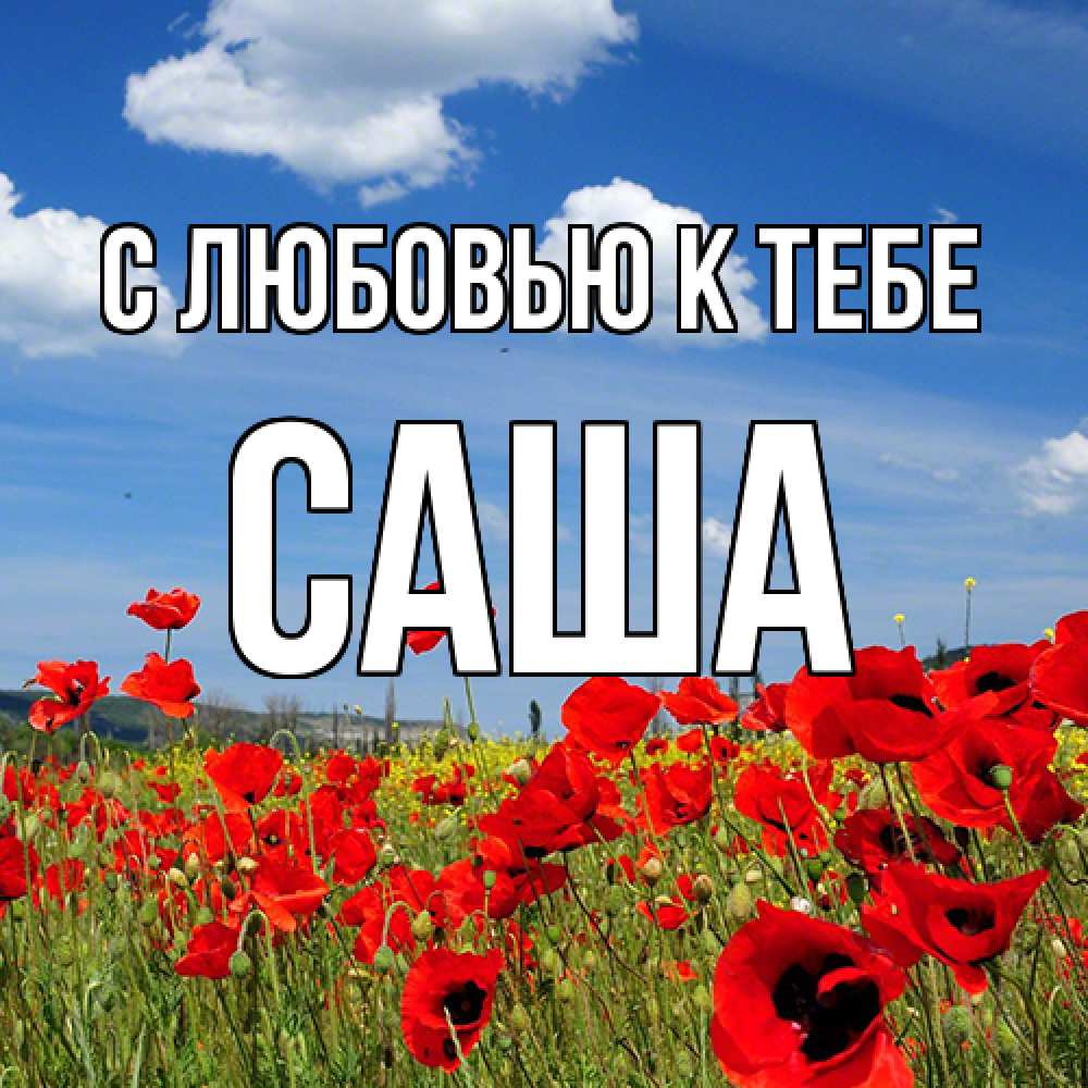 Открытка  с именем. Саша, С любовью к тебе  