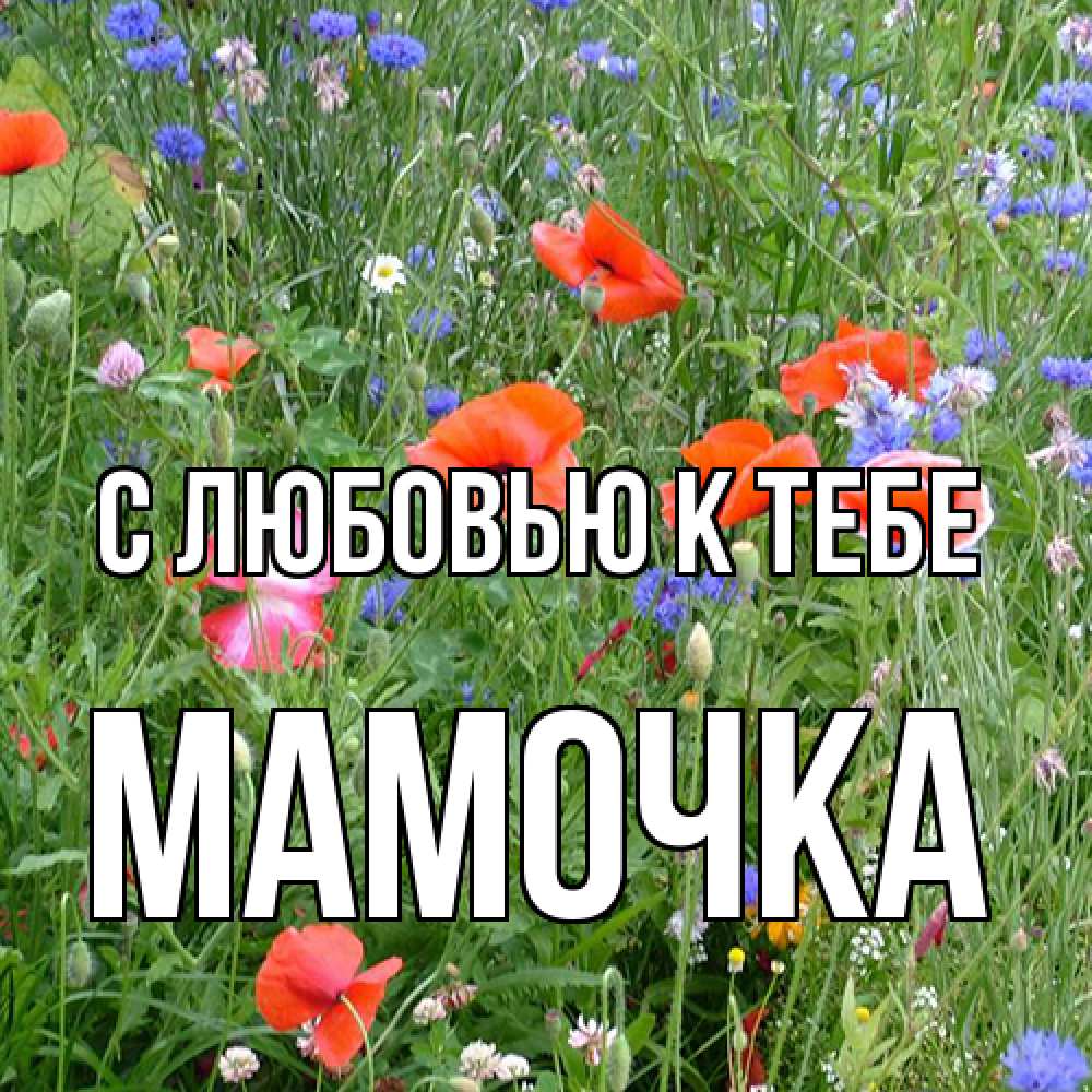 Открытка  с именем. Мамочка, С любовью к тебе  