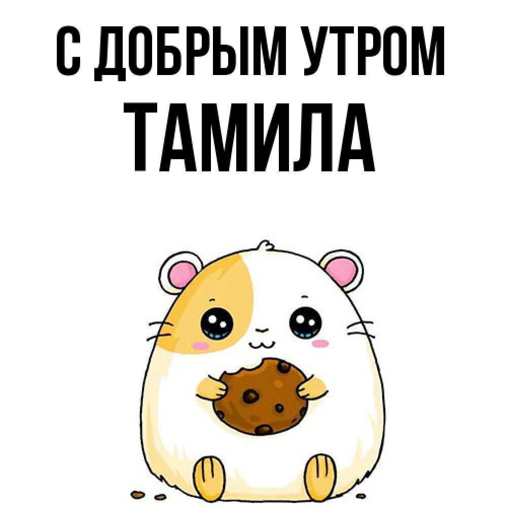 Открытка  с именем. Тамила, С добрым утром  