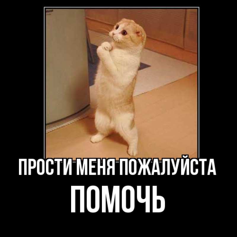Картинка Прости меня пожалуйста, Помочь