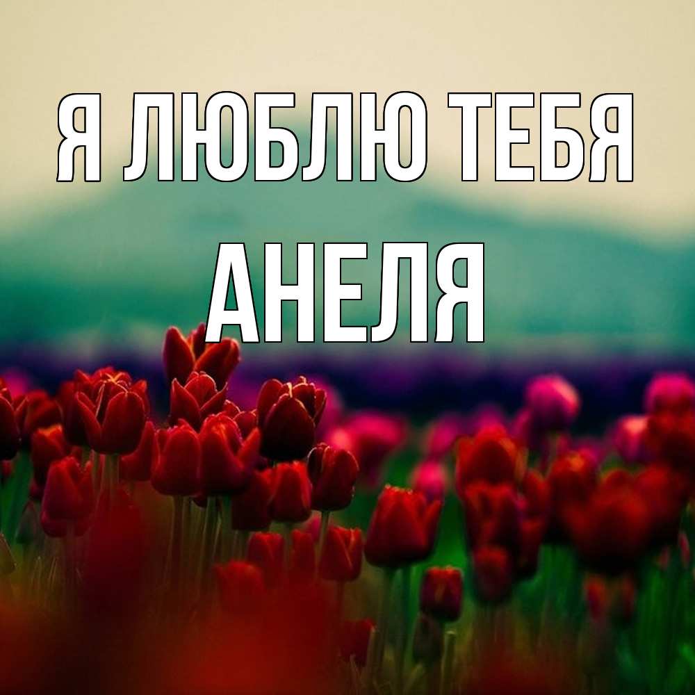 Открытка  с именем. Анеля, Я люблю тебя  