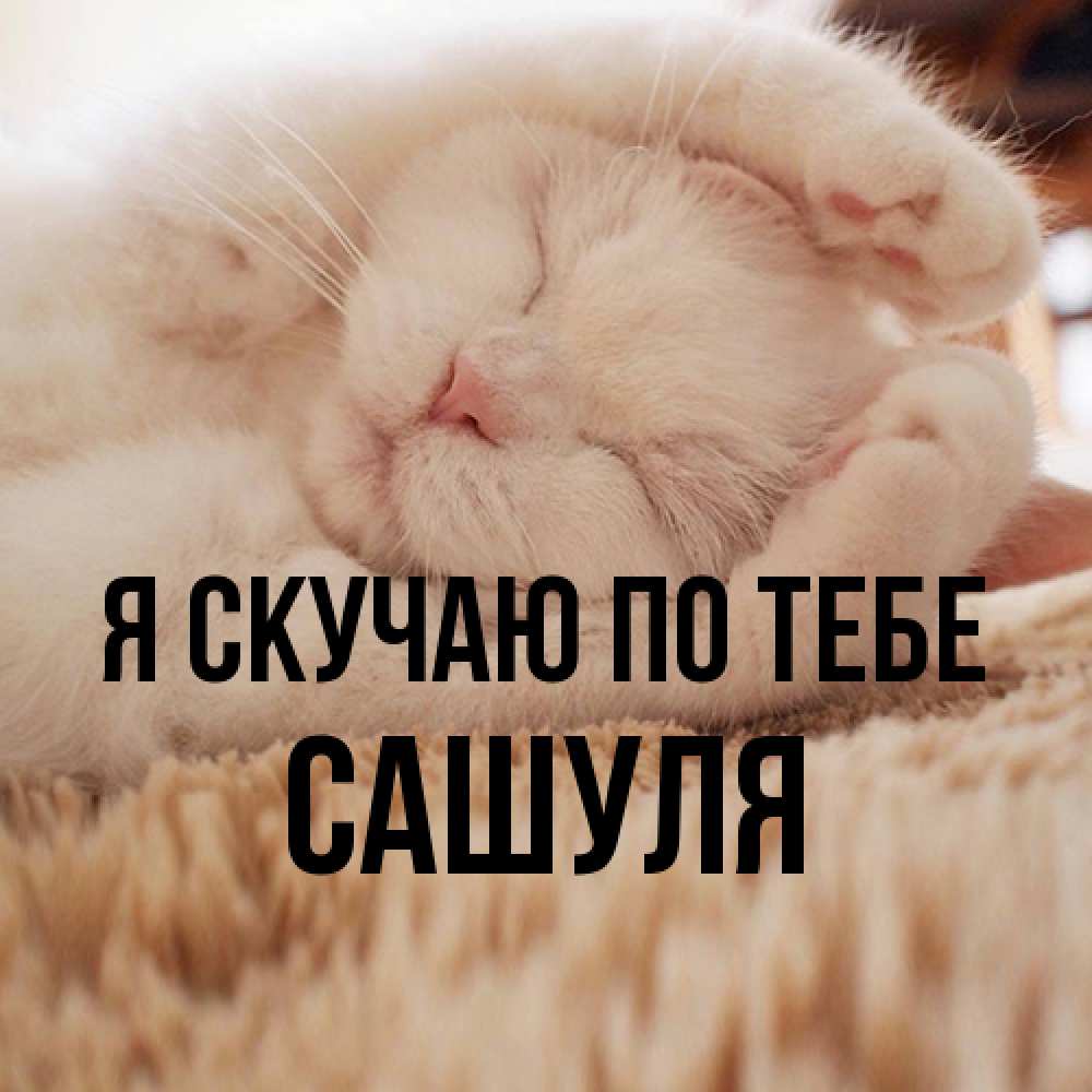 Открытка  с именем. Сашуля, Я скучаю по тебе  