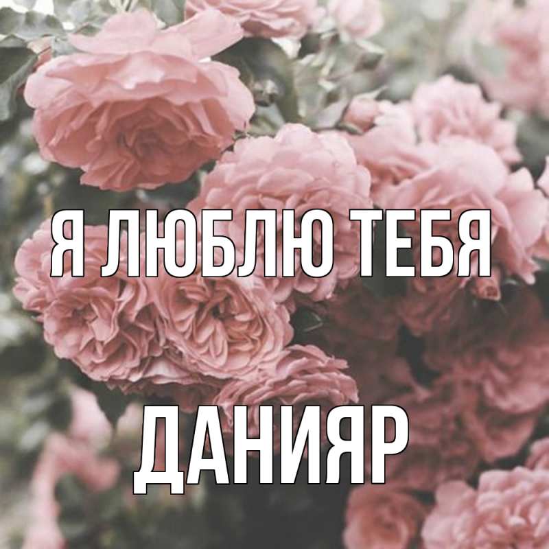 Картинка Я люблю тебя, Данияр