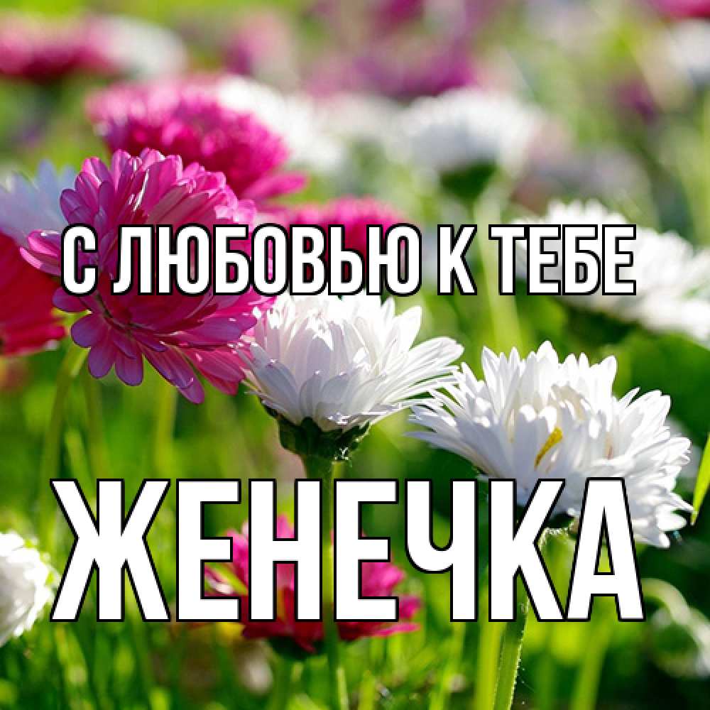 Открытка  с именем. Женечка, С любовью к тебе  