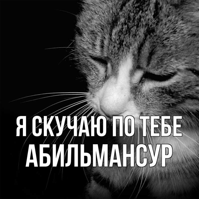 Картинка Я скучаю по тебе, Абильмансур