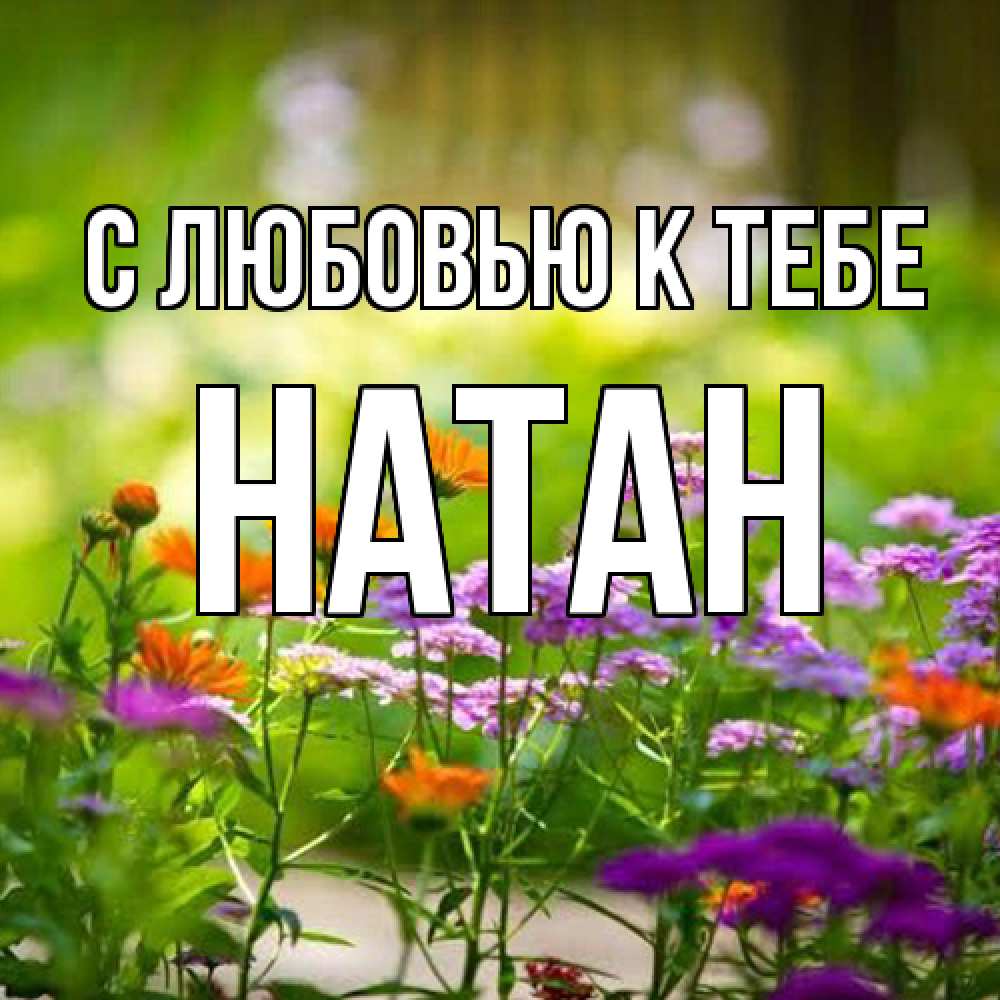 Открытка  с именем. Натан, С любовью к тебе  
