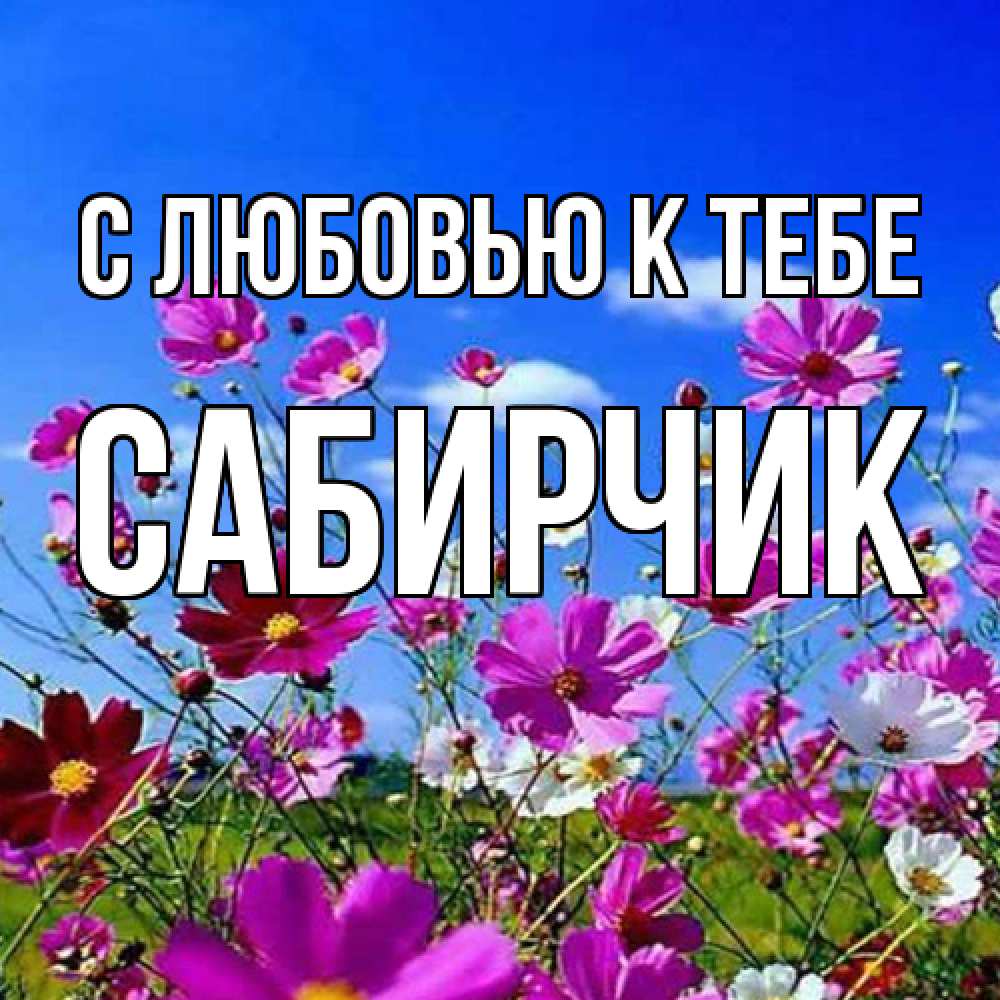 Открытка  с именем. Сабирчик, С любовью к тебе  