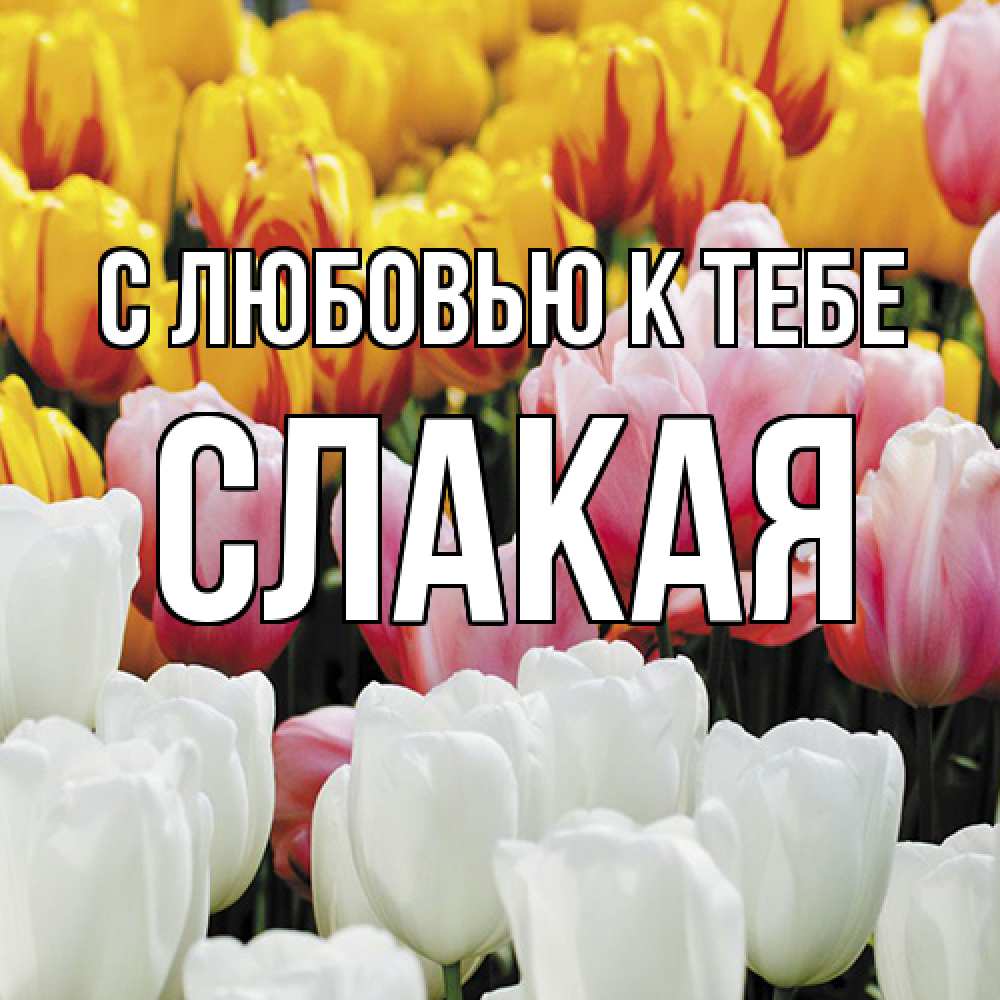 Открытка  с именем. Слакая, С любовью к тебе  