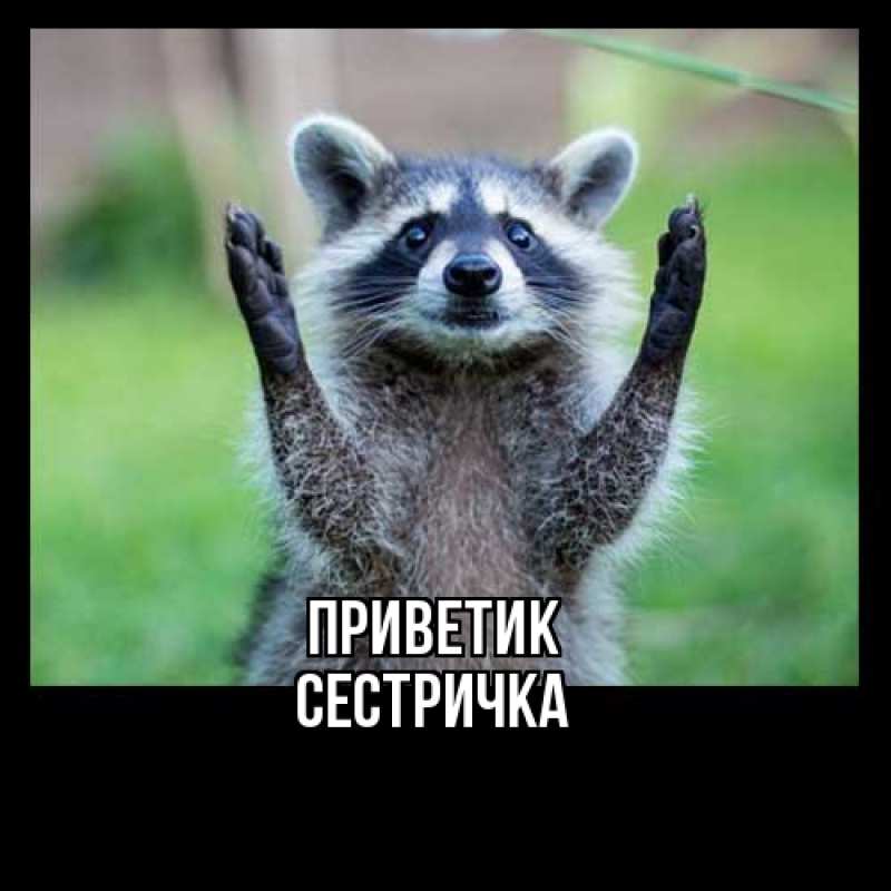 Открытка с именем, Сестричка, приветик