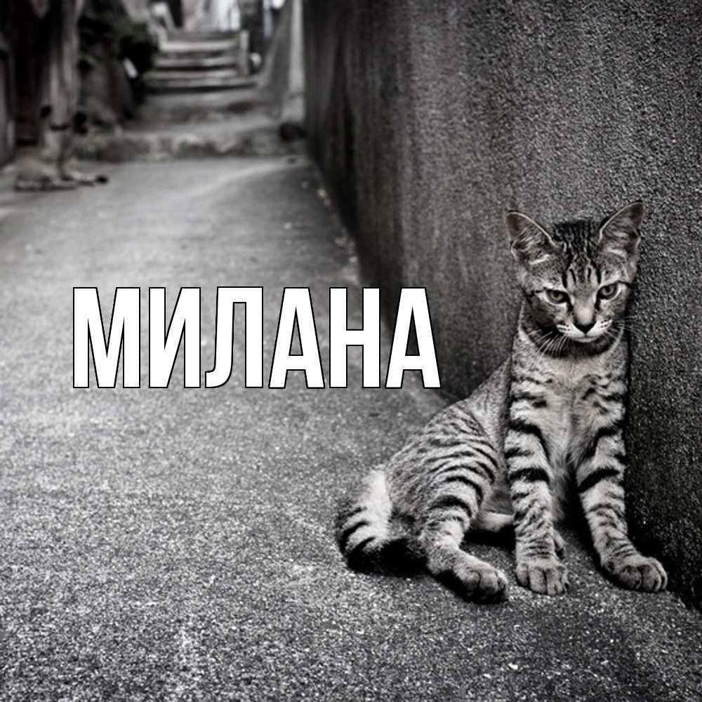 Открытка  с именем. Милана, Главная  
