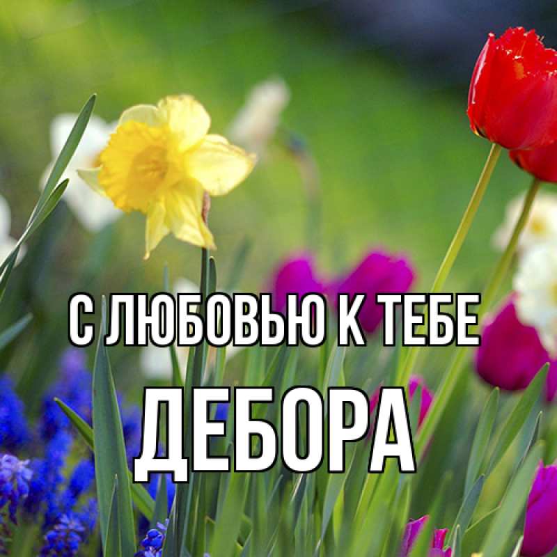 Картинка С любовью к тебе, Дебора