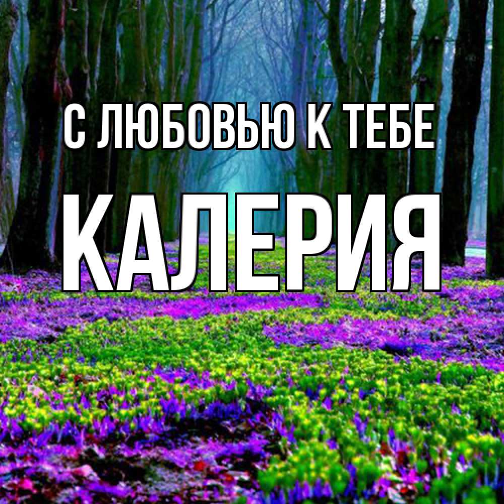 Открытка  с именем. Калерия, С любовью к тебе  