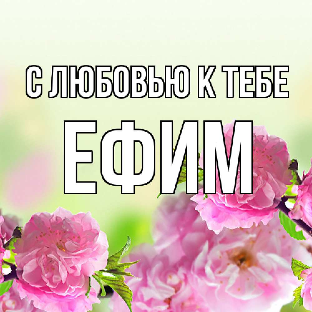 Открытка  с именем. Ефим, С любовью к тебе  