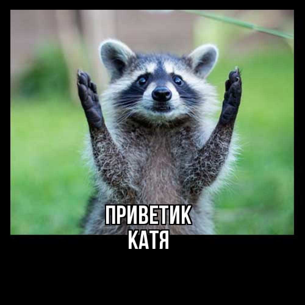 Открытка  с именем. Катя, приветик  