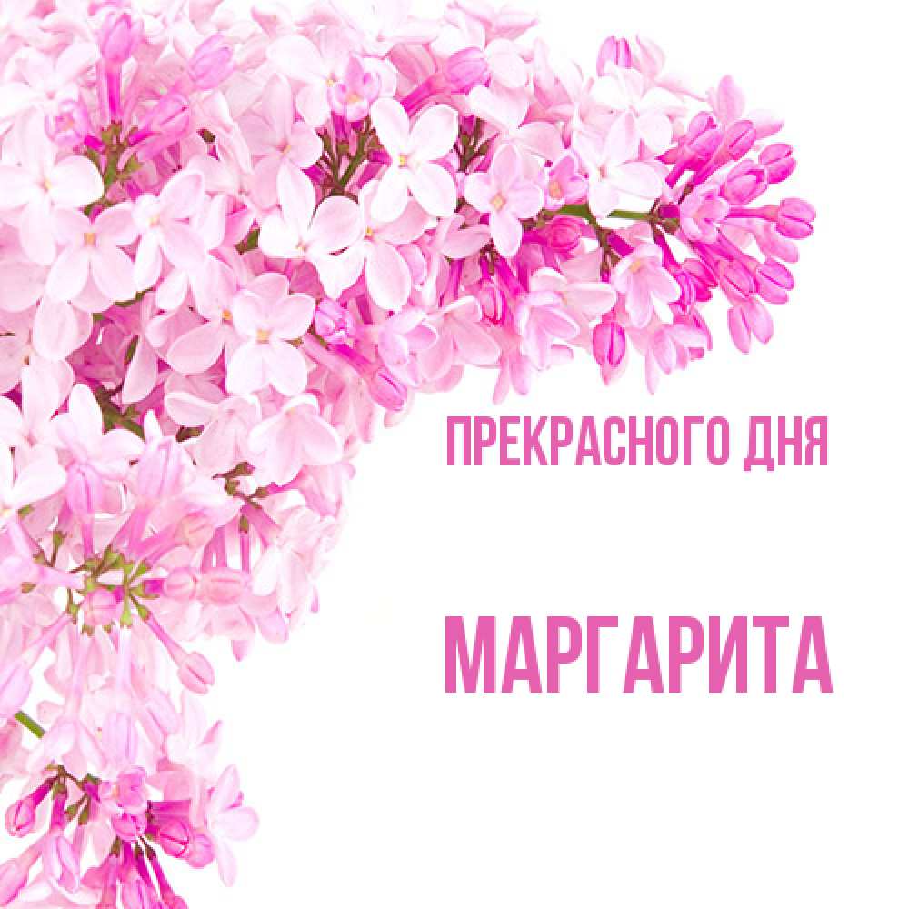 Открытка  с именем. Маргарита, Прекрасного дня  