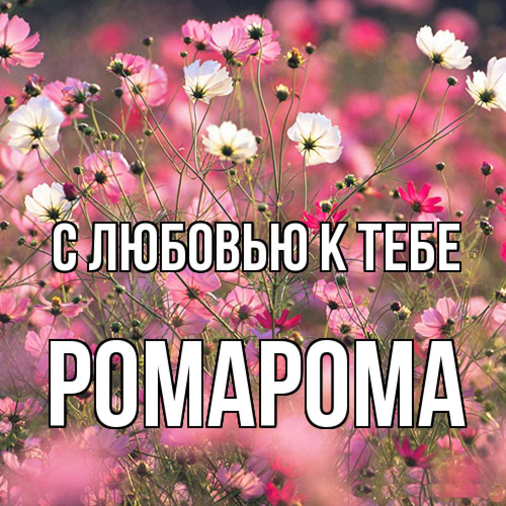 Открытка  с именем. РомаРома, С любовью к тебе  