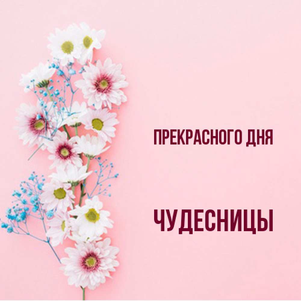 Открытка  с именем. Чудесницы, Прекрасного дня  