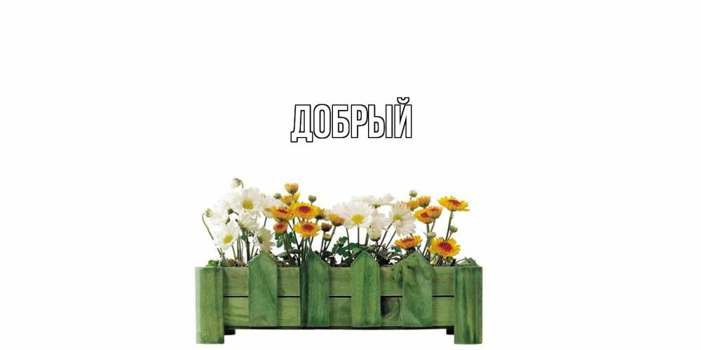Открытка  с именем. Добрый, Главная  