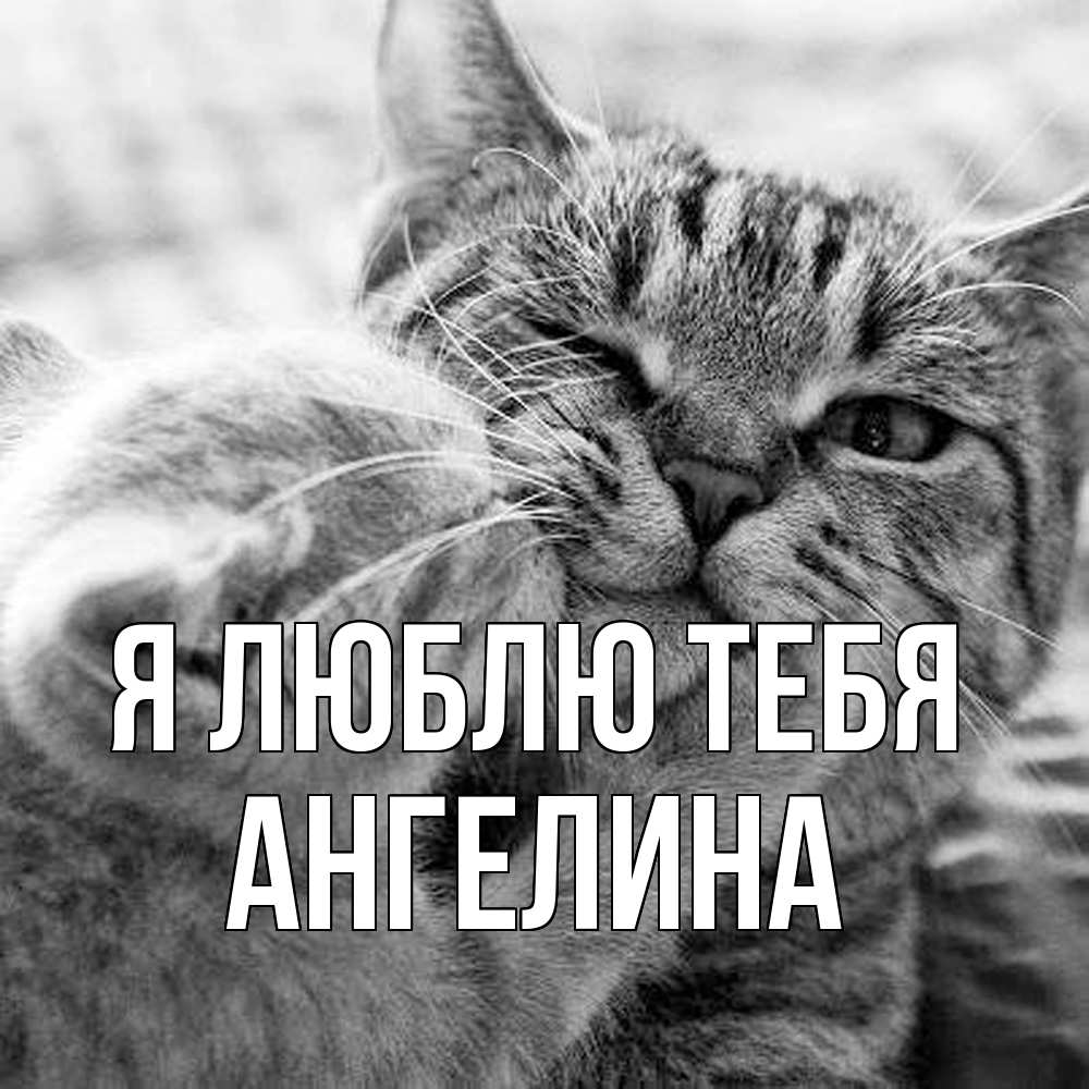 Открытка  с именем. Ангелина, Я люблю тебя  