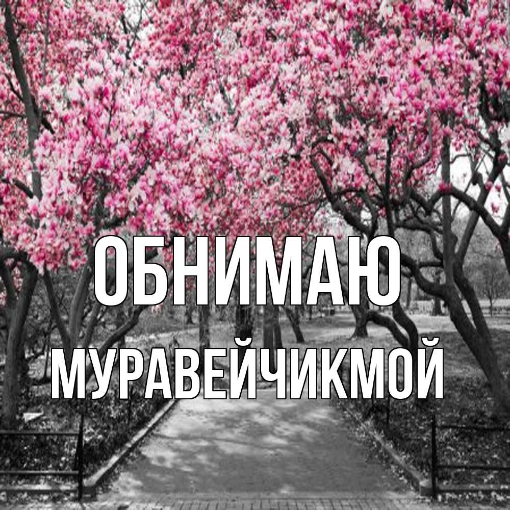 Открытка  с именем. Муравейчикмой, Обнимаю  