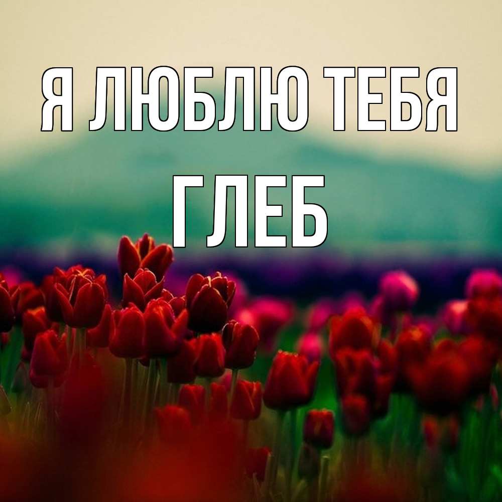 Открытка  с именем. Глеб, Я люблю тебя  