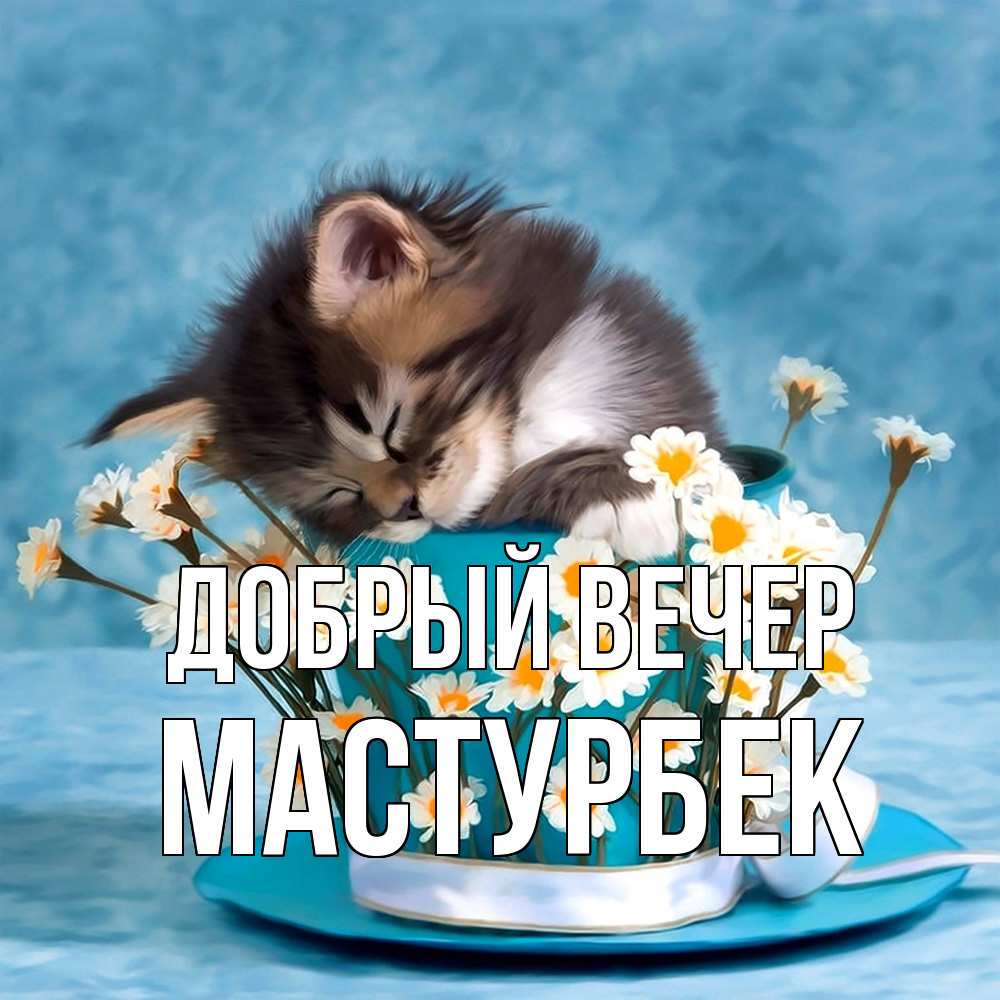 Открытка  с именем. Мастурбек, Добрый вечер  