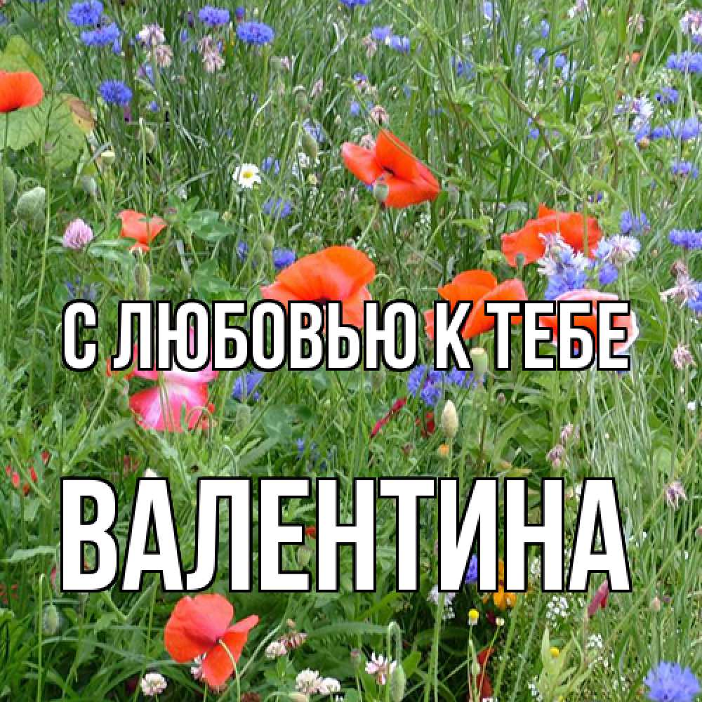 Открытка  с именем. валентина, С любовью к тебе  
