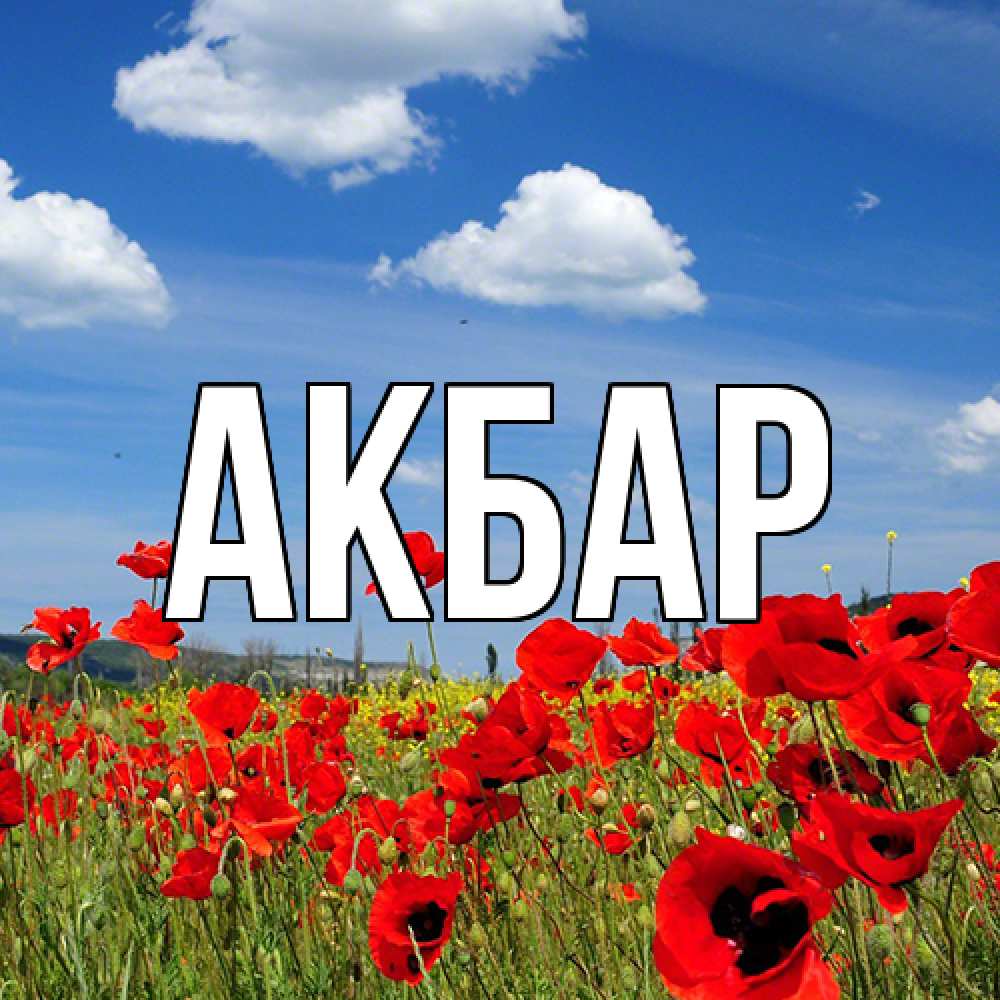 Открытка  с именем. Акбар, Главная  