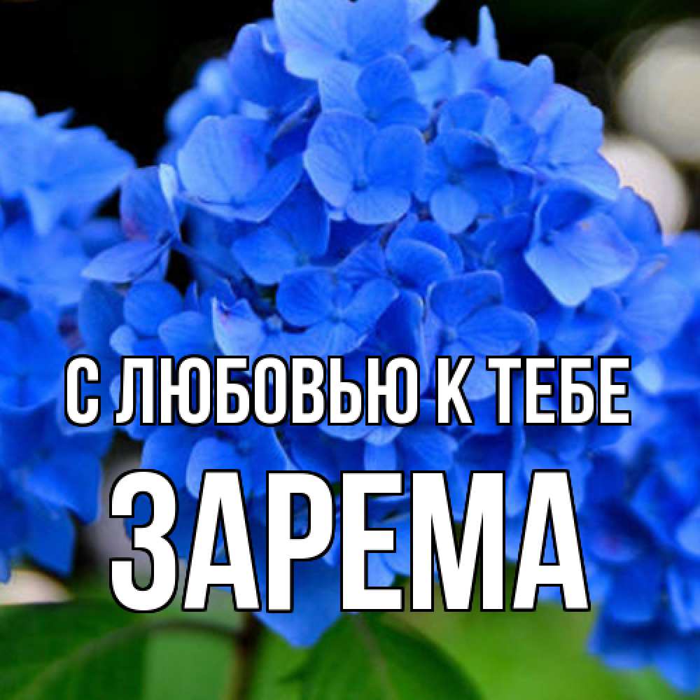 Открытка  с именем. Зарема, С любовью к тебе  