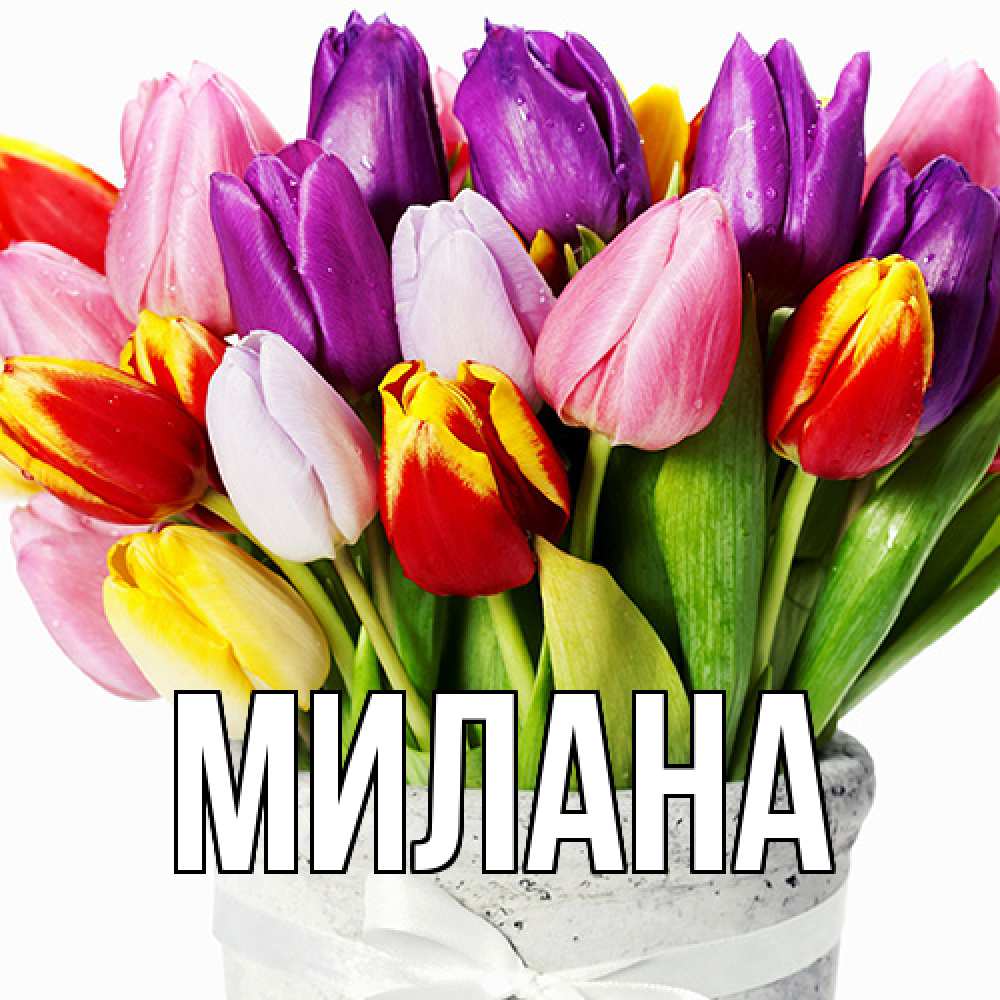 Открытка  с именем. Милана, Главная  