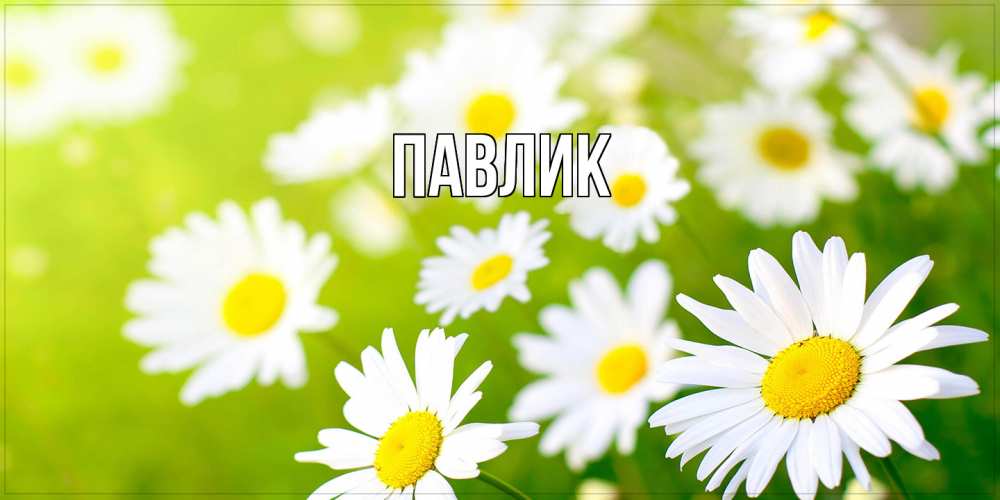 Открытка  с именем. Павлик, Главная  