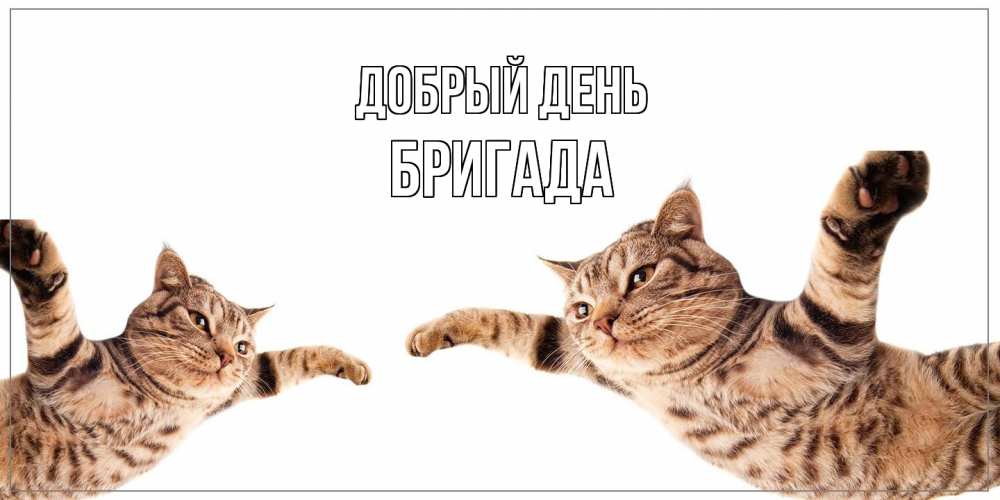 Открытка  с именем. Бригада, Добрый день  