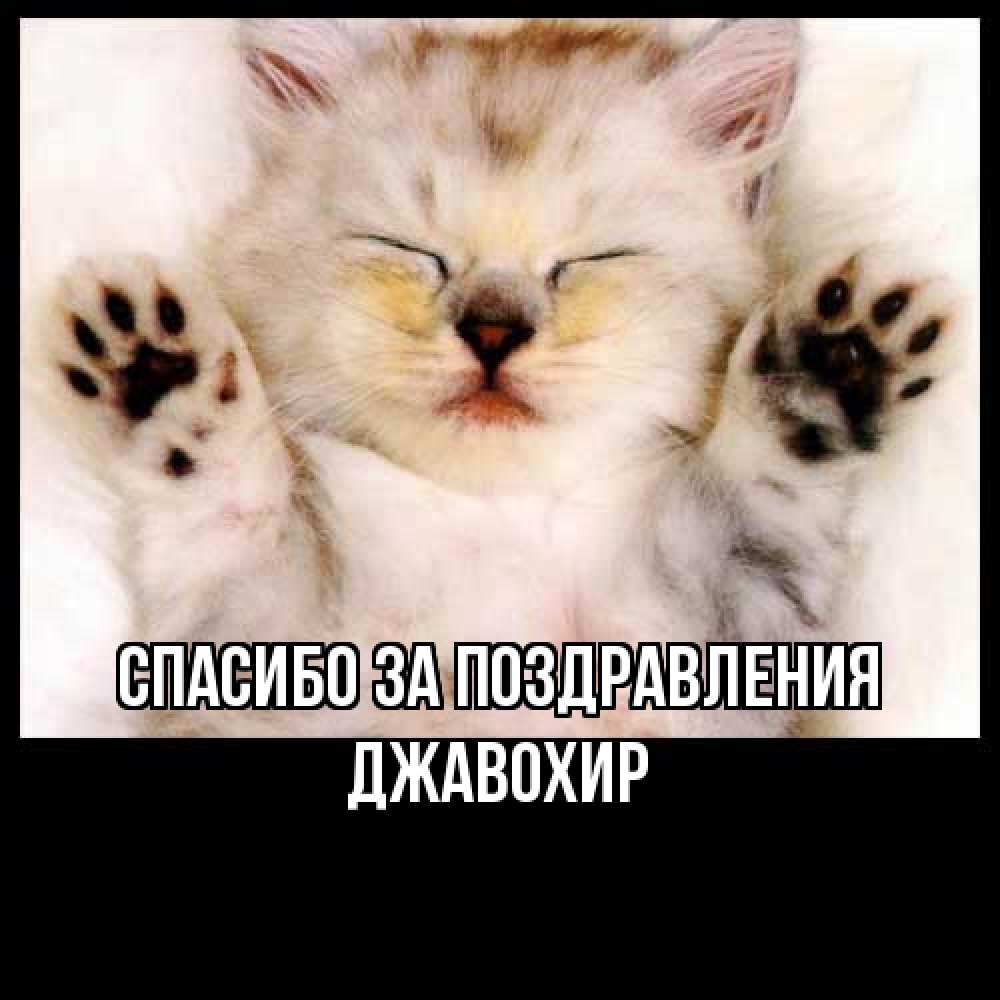 Открытка  с именем. Джавохир, Спасибо за поздравления  