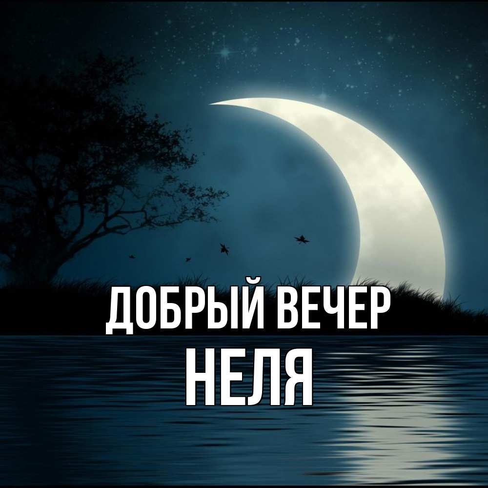 Открытка  с именем. Неля, Добрый вечер  