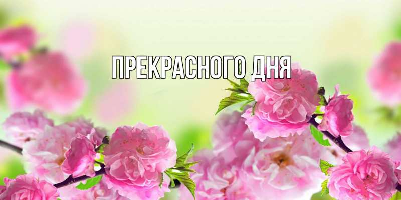 Картинка Прекрасного дня, 