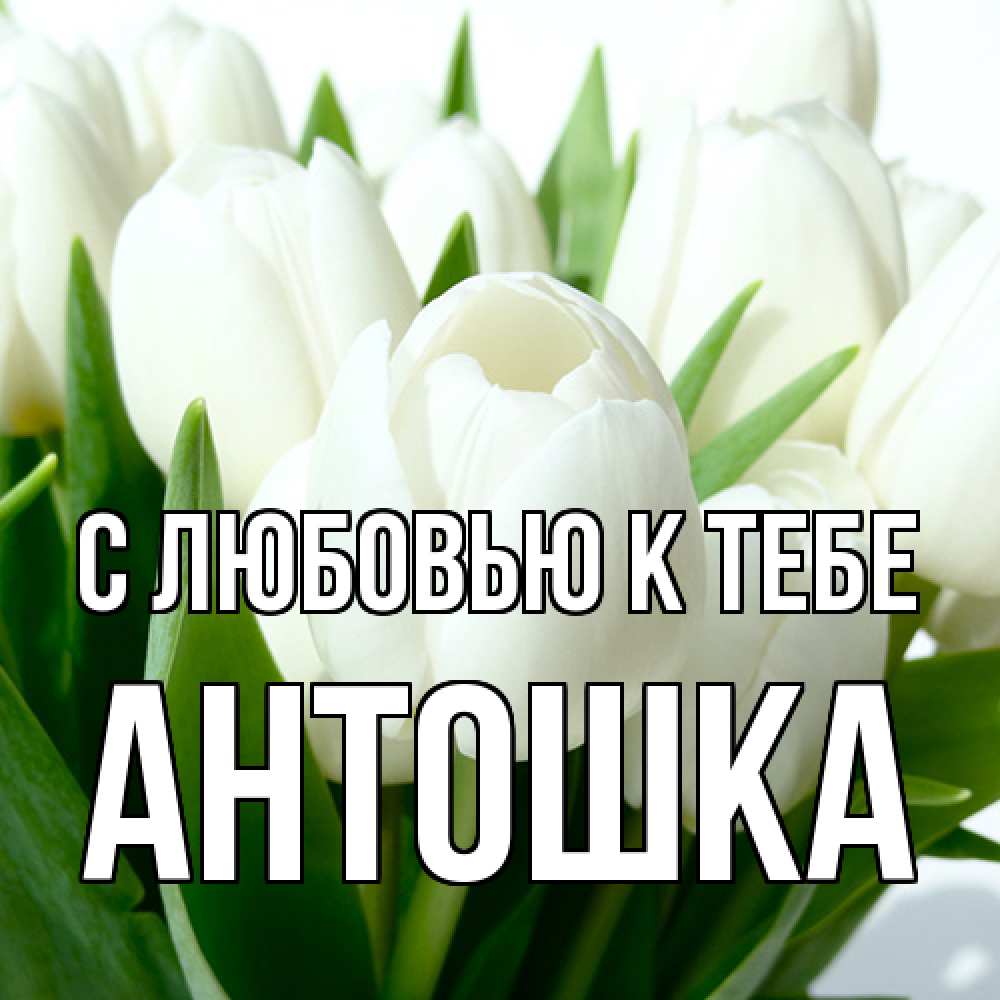 Открытка  с именем. Антошка, С любовью к тебе  